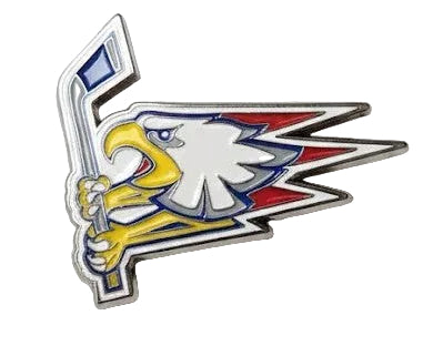 Enamel Eagle Pin